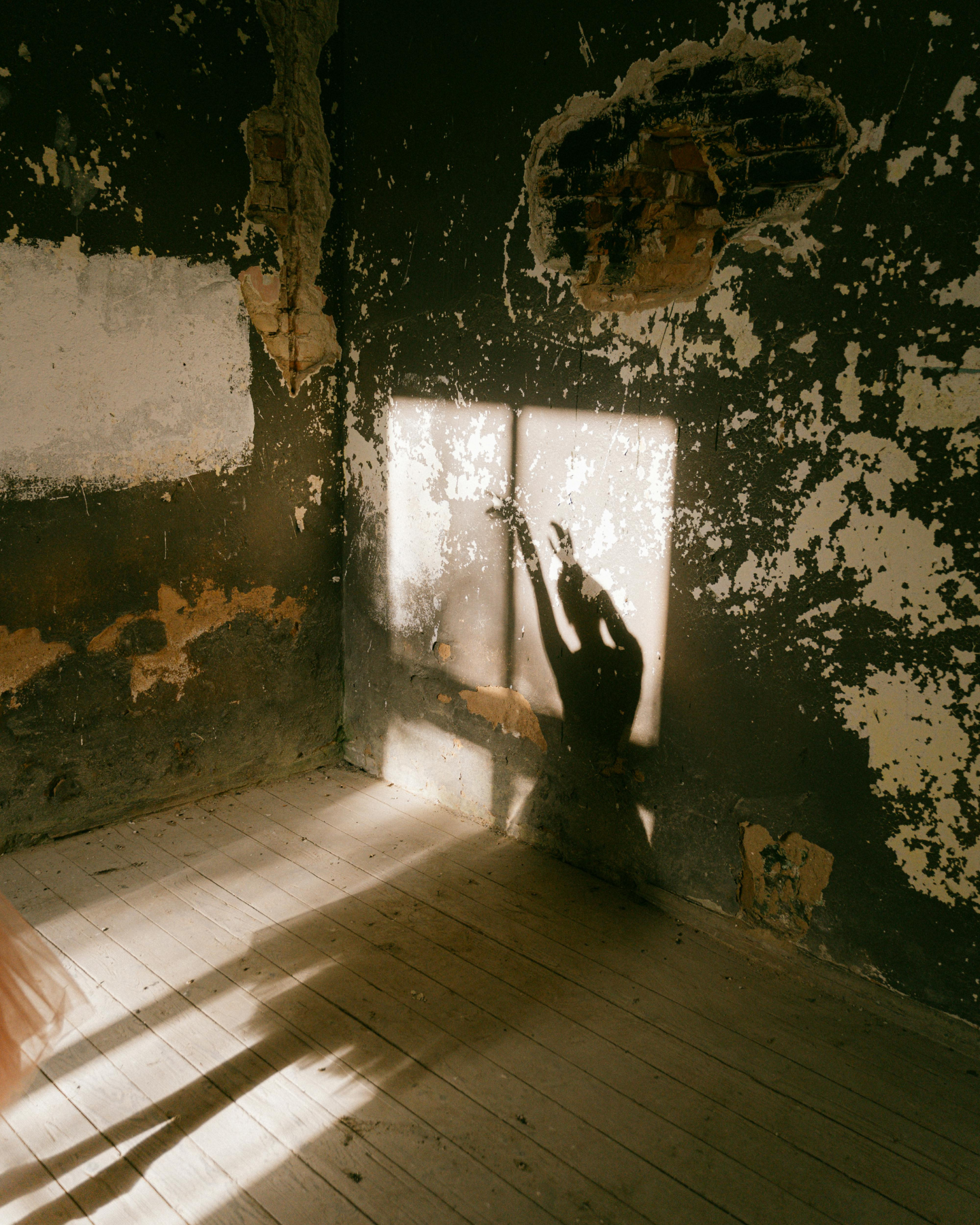 El Ciclo Perfecto para Lograr tu Realidad Deseada