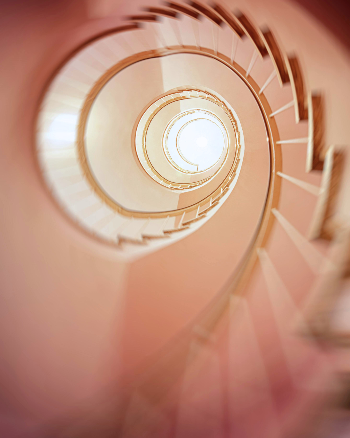 Éxito vs Felicidad: 2 Caminos, 2 Sets de Skills Diferentes