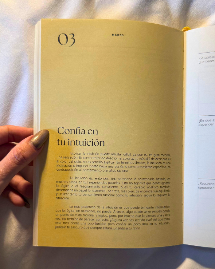 Weekly Planner Productivity 365 / Clarity Beige