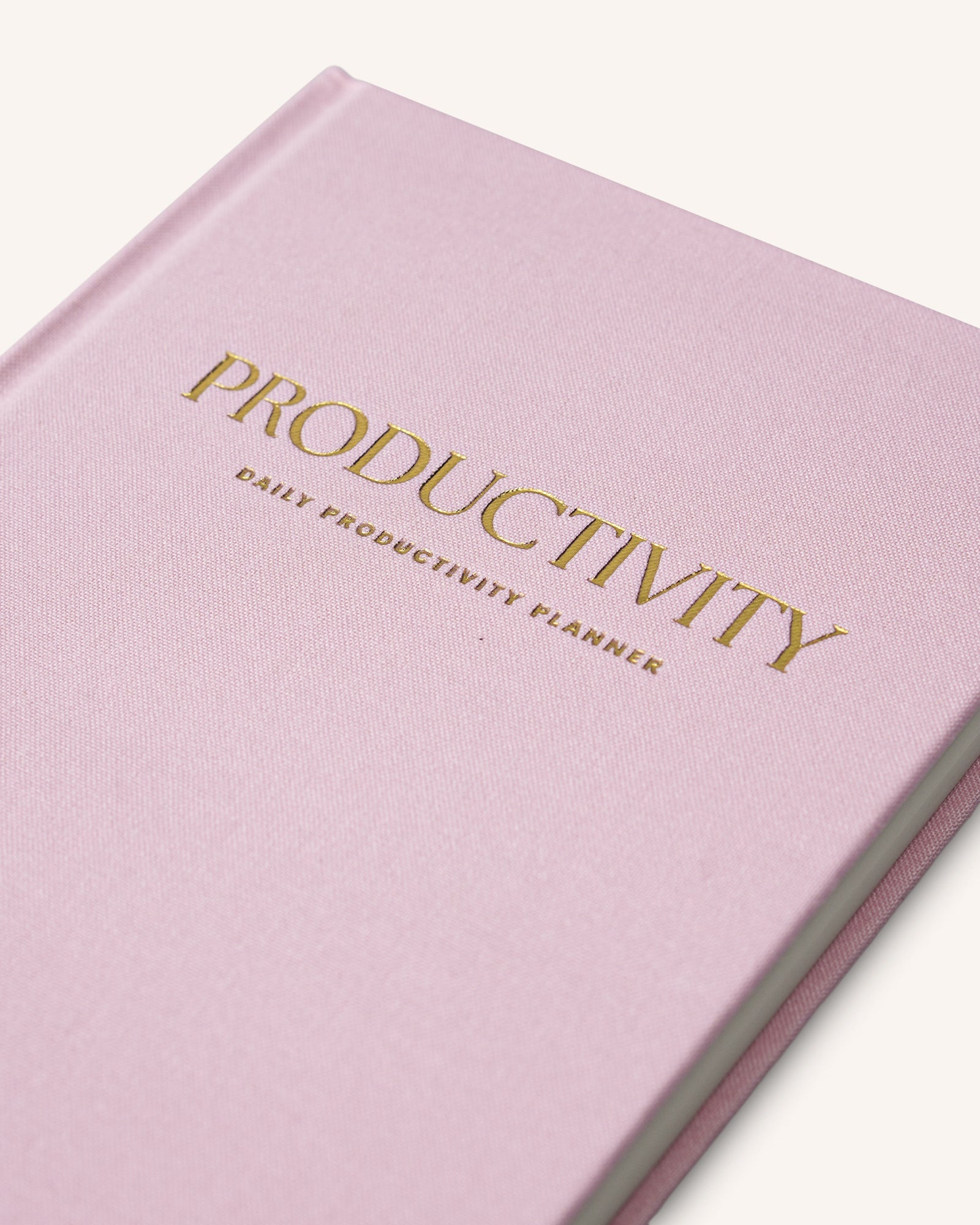 Daily Productivity Planner - Rosa